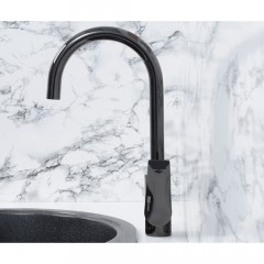 Смеситель для кухни WasserKRAFT Glan 6607