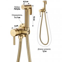 Смеситель с гигиеническим душем встраиваемый Grocenberg GB001MG