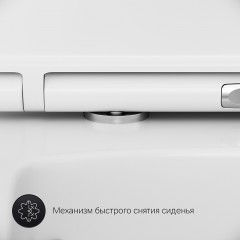 Унитаз подвесной Am.Pm Inspire V2.0 C50A1700MWSC безободковый