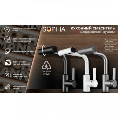 Смеситель для кухни Boch Mann Sophia W BM10431