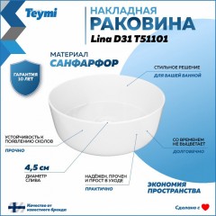 Раковина накладная Teymi Lina D31 T51101