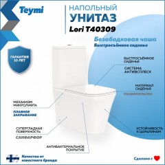 Унитаз Teymi Lori T40309 безободковый